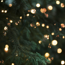 Tanne mit Weihnachtslichtern
