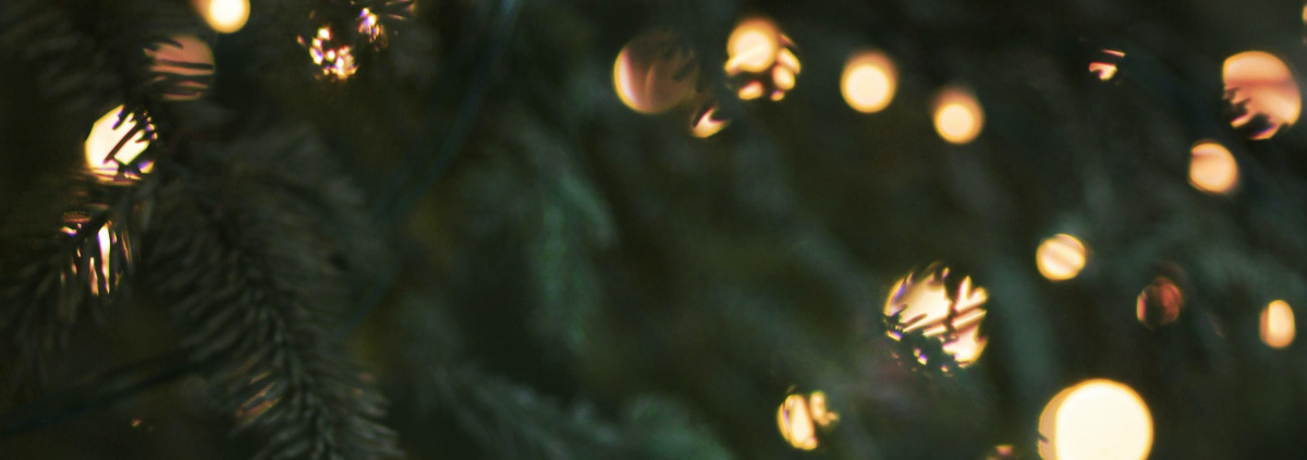 Tanne mit Weihnachtslichtern