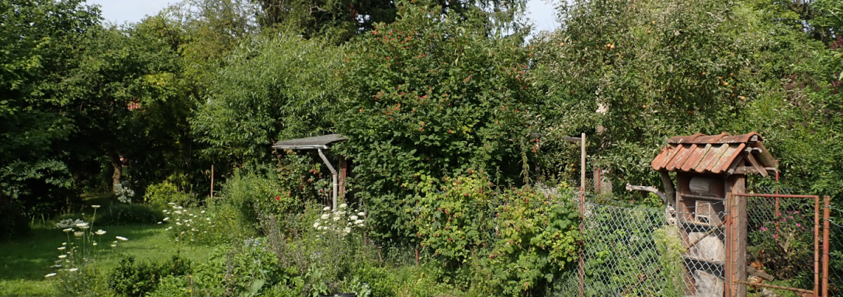 Musik- und Gartenzellten bei Böers