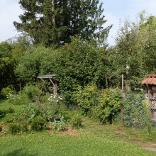 Musik- und Gartenzellten bei Böers
