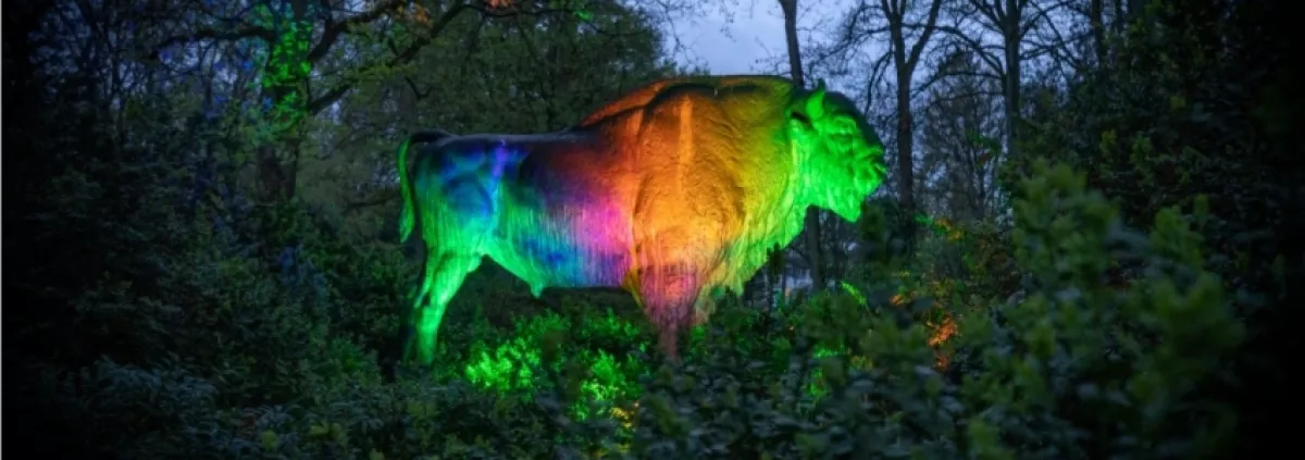 Beleuchtete Wisent-Skulptur